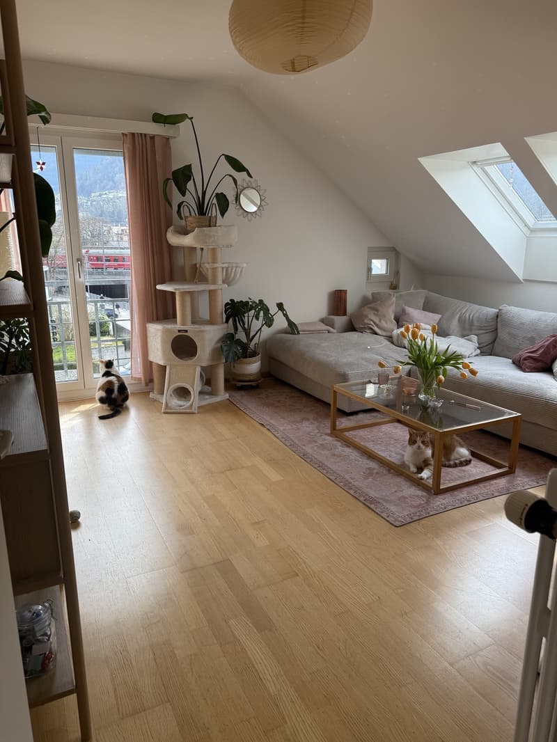 4 Zimmer Dachgeschoss Wohnung (2)