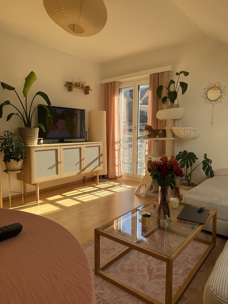 4 Zimmer Dachgeschoss Wohnung (1)