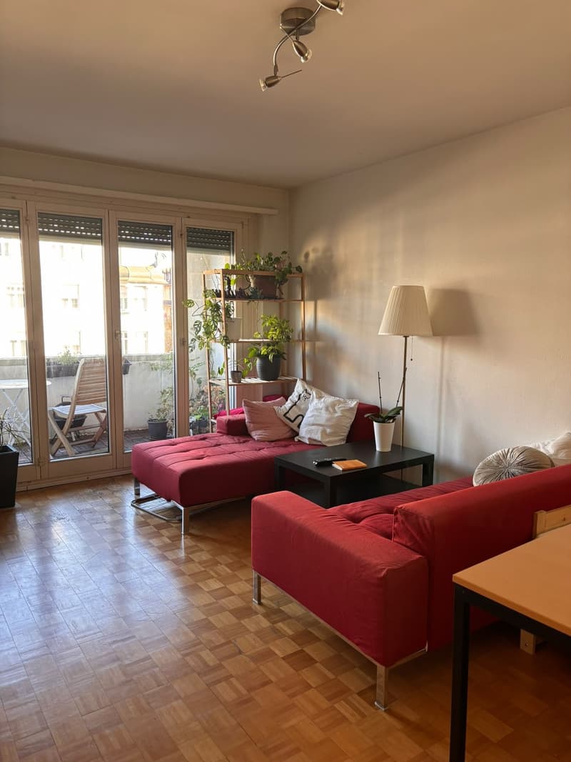 WG Zimmer am Bundesplatz (3)
