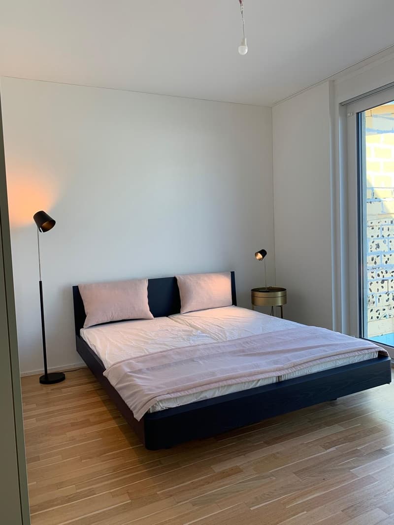 Modern Loft Apartment in Basel (4)
