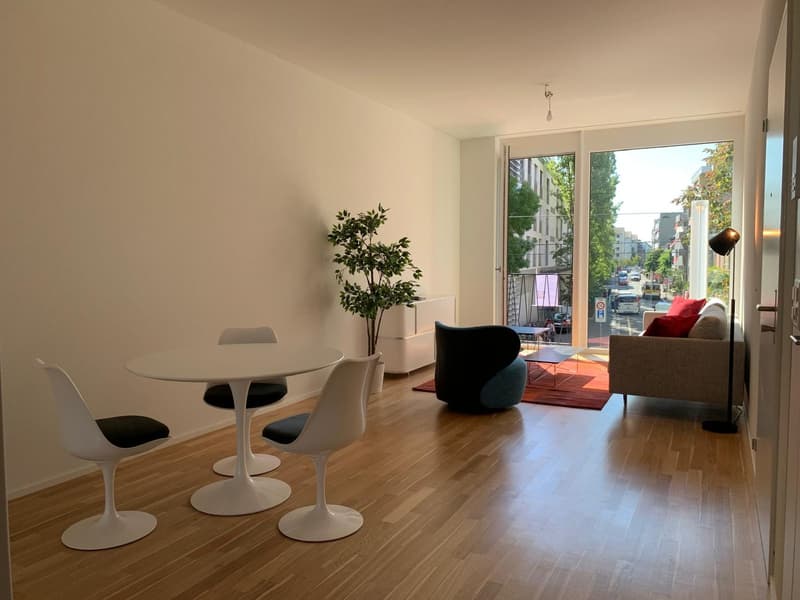 Modern Loft Apartment in Basel (2)