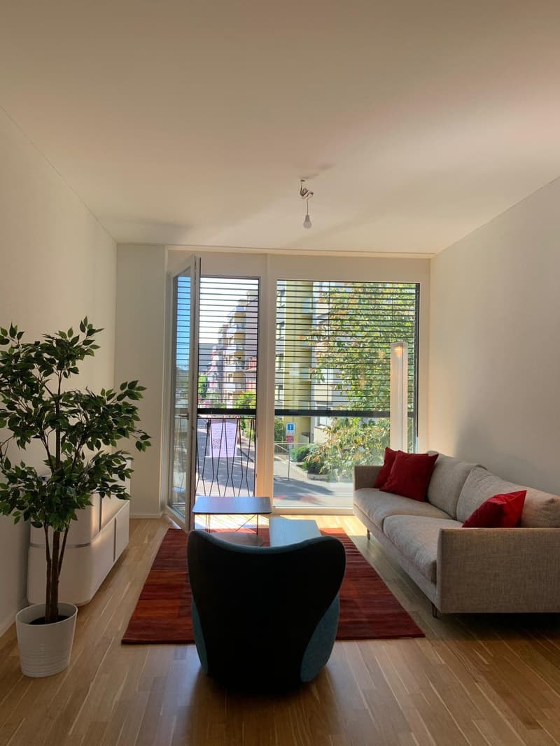 Modern Loft Apartment in Basel (3)