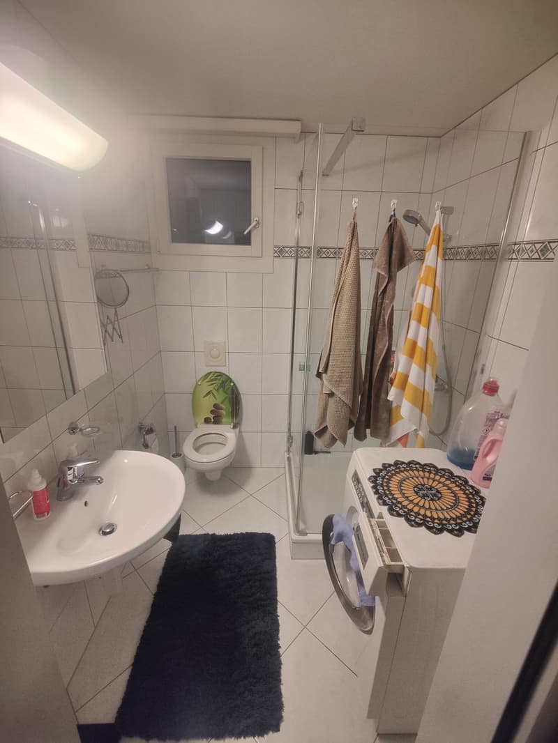 Wg Zimmer im Herzen des Tribschen-Quartiers (4)