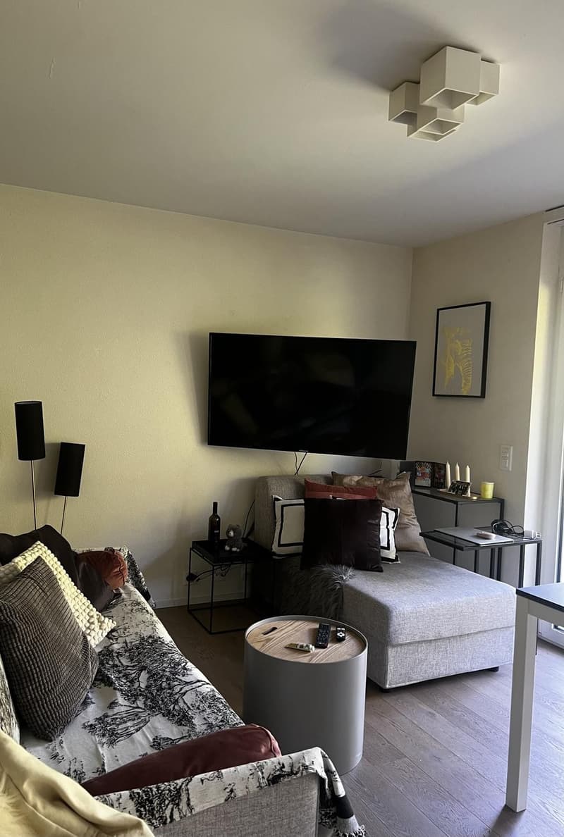Appartement 1 pièce, 1092 Belmont-sur-Lausanne (6)