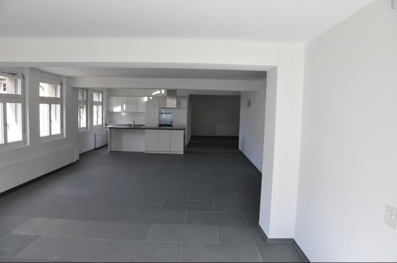 4.5 Zimmer Loft (1)