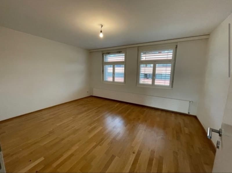 4.5 Zimmer Loft (3)