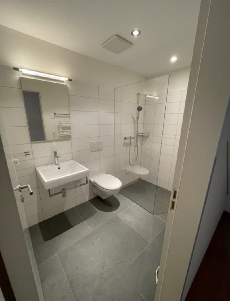 4.5 Zimmer Loft (5)