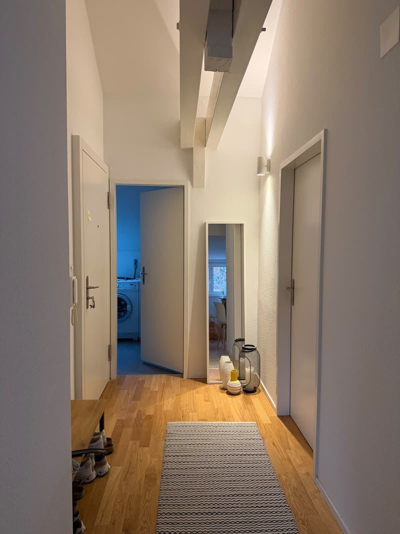 Nachmieter:in gesucht: charmante 2-Zi-Dachwohnung, zentral in Basel, ab Dezember (1)