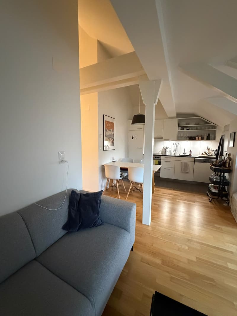 Nachmieter:in gesucht: charmante 2-Zi-Dachwohnung, zentral in Basel, ab Dezember (4)