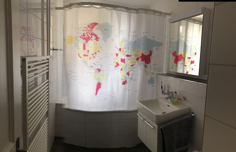 Spacious Room for Rent in Central Zürich (4)