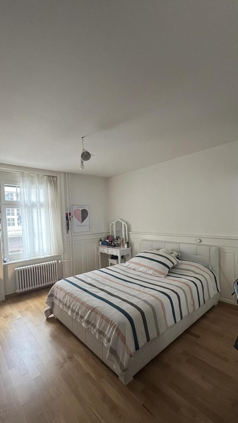 Spacious Room for Rent in Central Zürich (2)