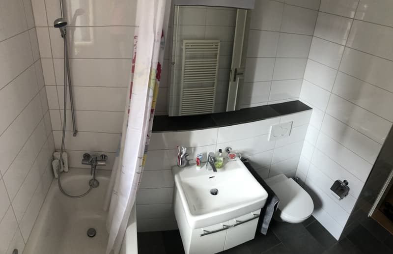 Spacious Room for Rent in Central Zürich (3)