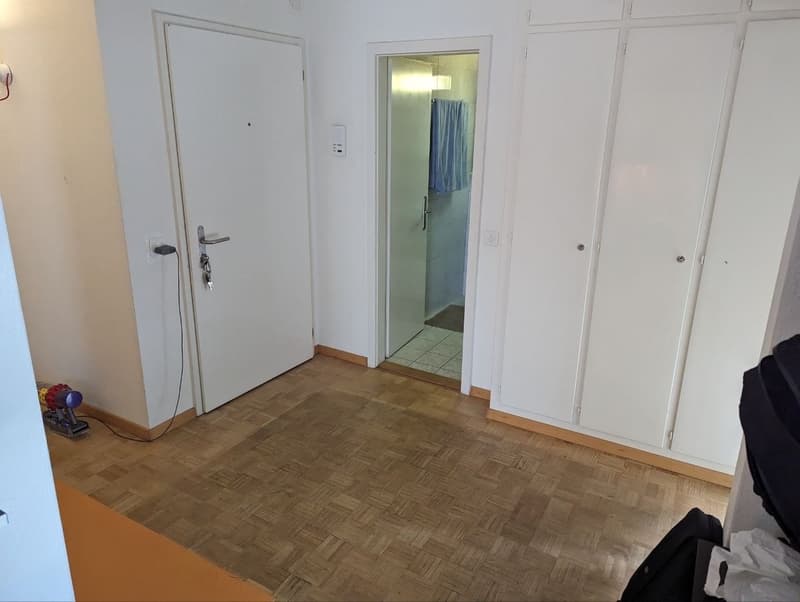 3.5-Zimmerwohnung in Luzern Nachmieter gesucht per 01.11.2026 (9)