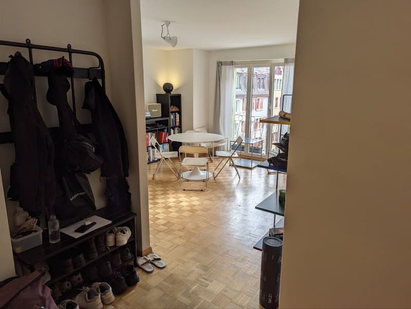 3.5-Zimmerwohnung in Luzern Nachmieter gesucht per 01.11.2026 (8)