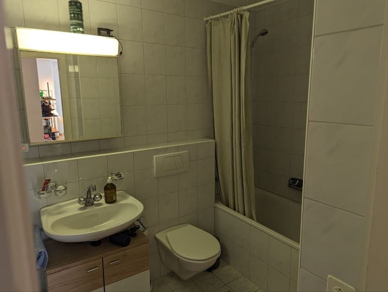 3.5-Zimmerwohnung in Luzern Nachmieter gesucht per 01.11.2026 (13)