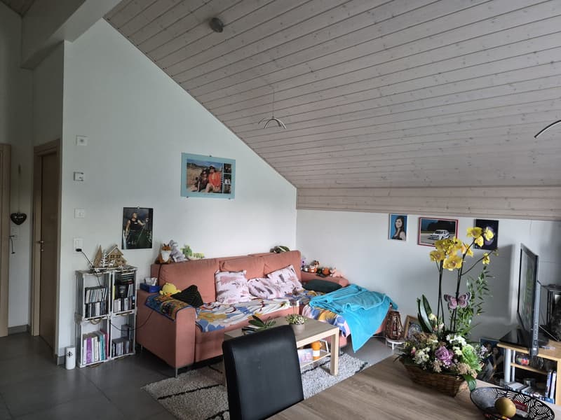 Appartement 2.5 pcs a louer a Carrouge VD (1)
