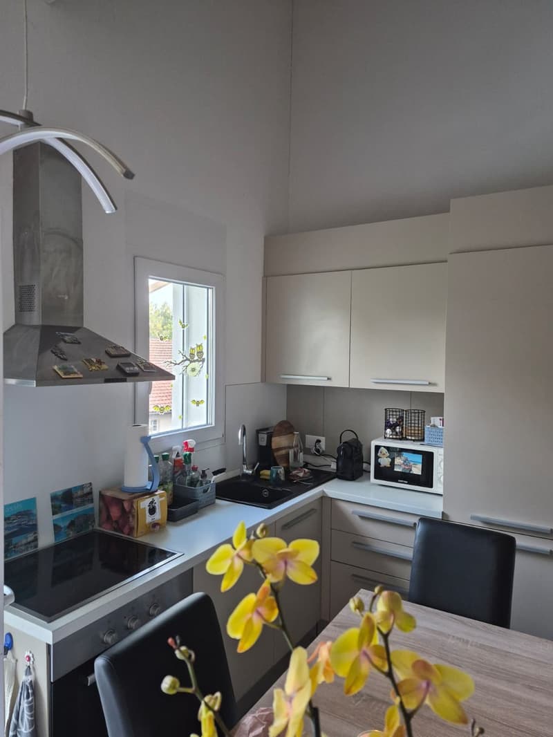 Appartement 2.5 pcs a louer a Carrouge VD (3)
