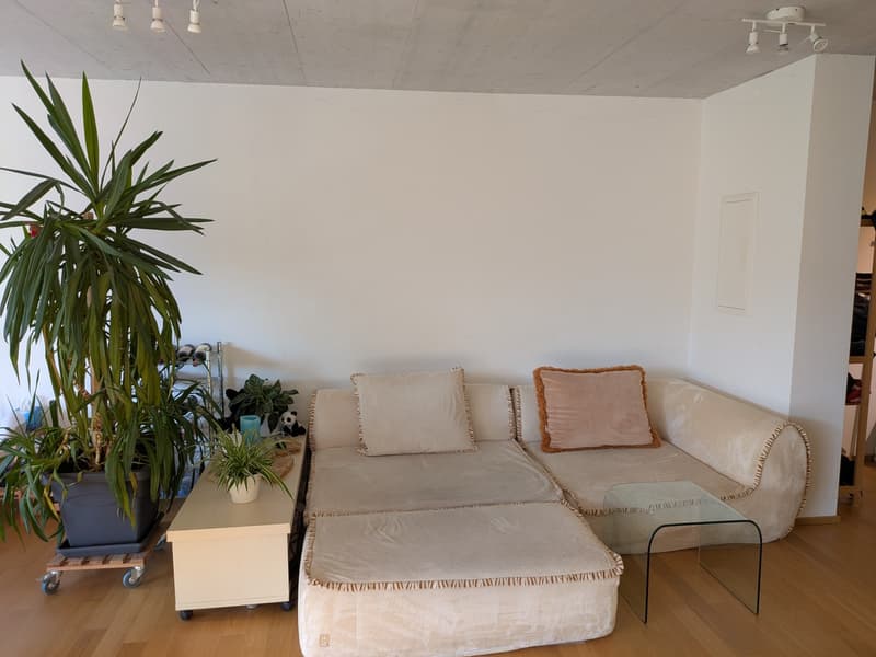 Sehr helle 2.5-Zimmer-Wohnung mit grossem Balkon in Urdorf per sofort (4)
