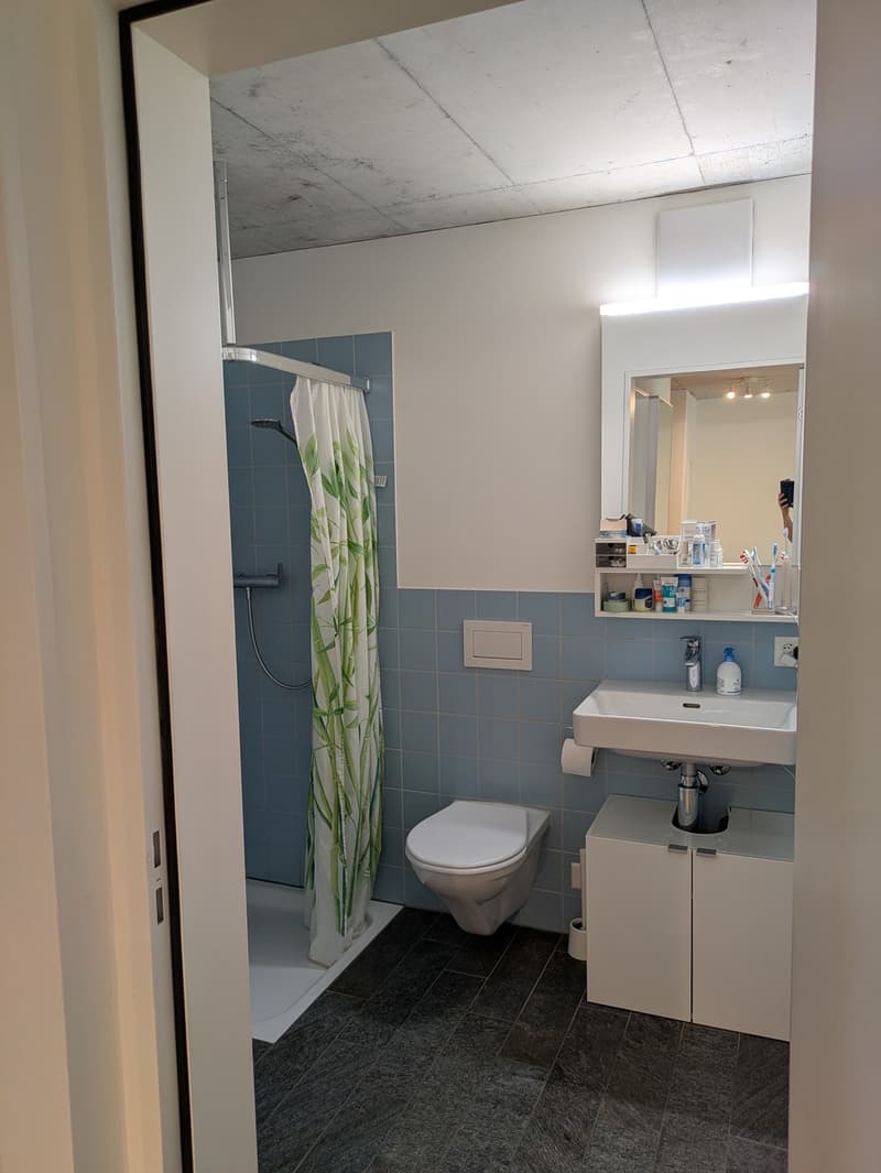 Sehr helle 2.5-Zimmer-Wohnung mit grossem Balkon in Urdorf per sofort (9)