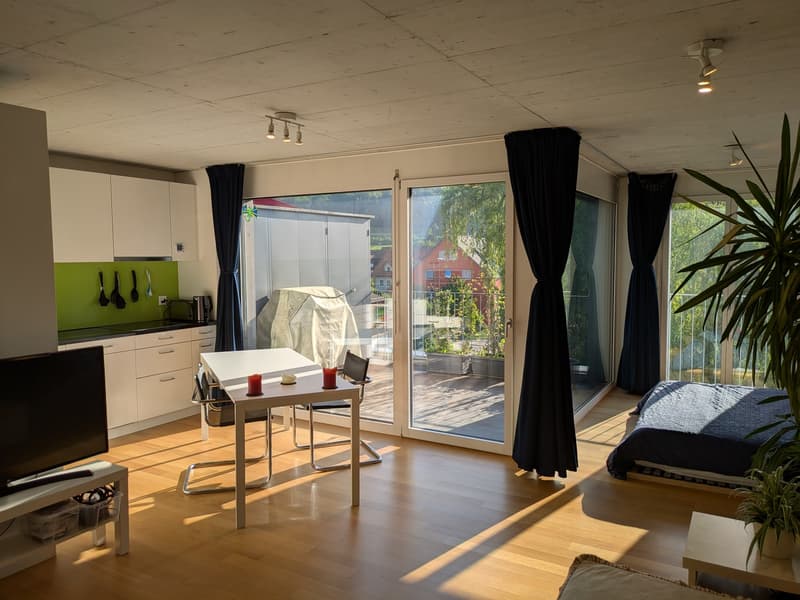 Sehr helle 2.5-Zimmer-Wohnung mit grossem Balkon in Urdorf per sofort (2)