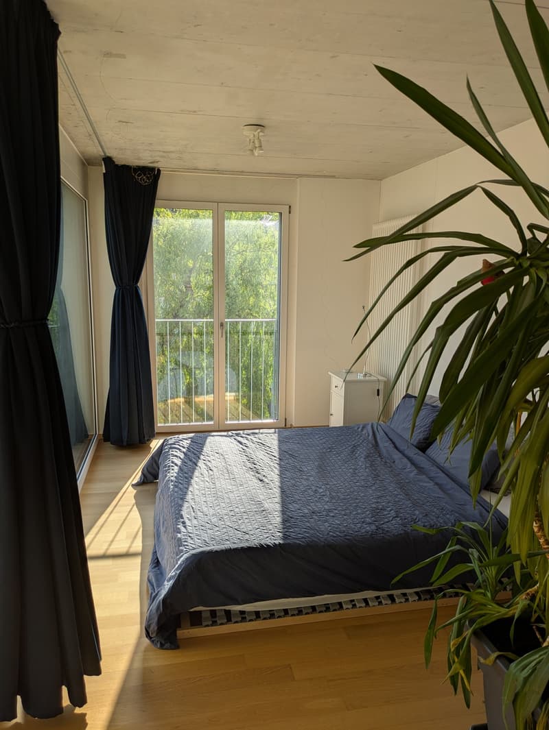 Sehr helle 2.5-Zimmer-Wohnung mit grossem Balkon in Urdorf per sofort (1)