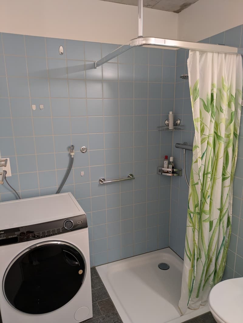 Sehr helle 2.5-Zimmer-Wohnung mit grossem Balkon in Urdorf per sofort (11)