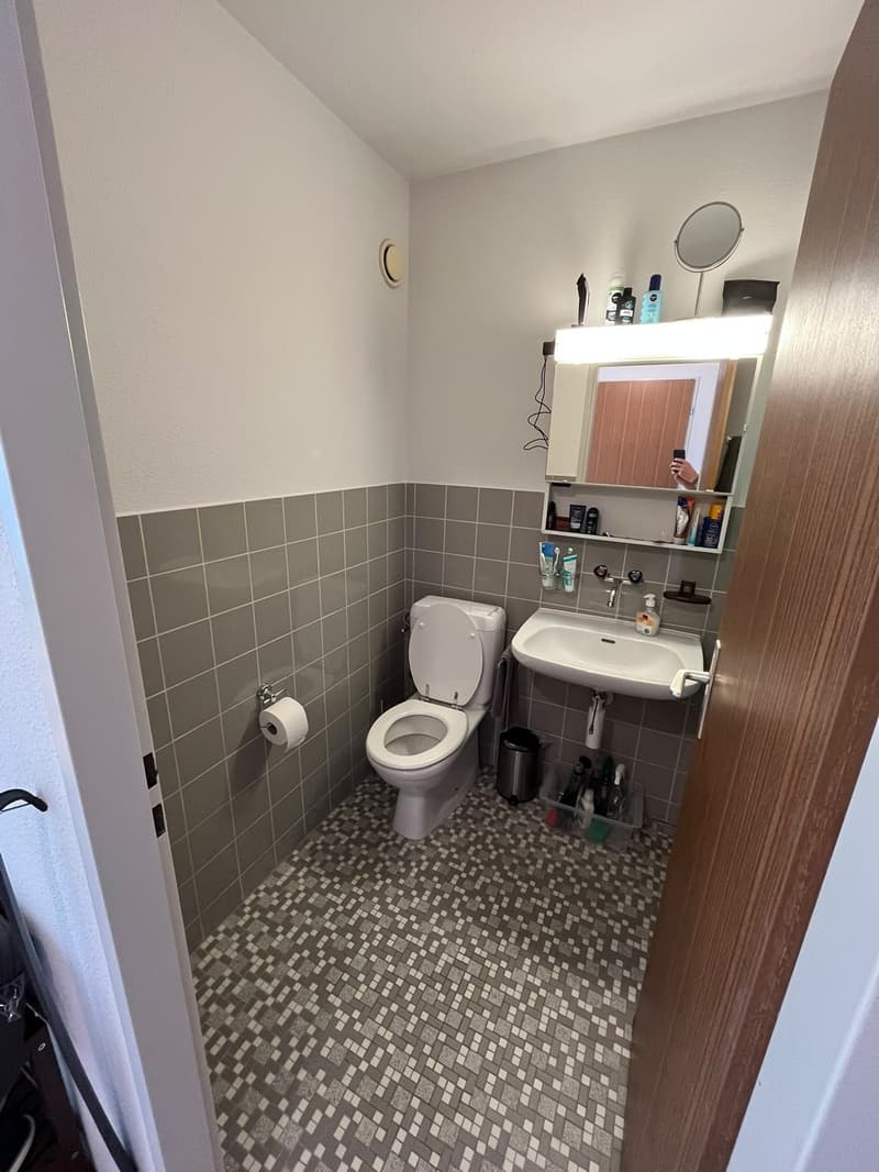 Möblierte 2.5 Zimmer Wohnung zur Untermiete (9)