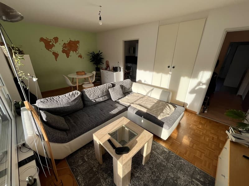 Möblierte 2.5 Zimmer Wohnung zur Untermiete (5)