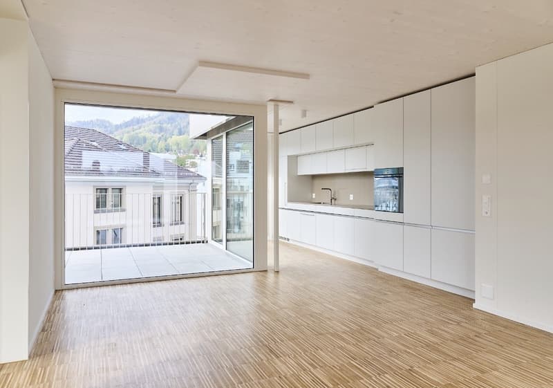 Traumhafte 2.5-Zimmer-Attikawohnung mit zwei grosszügigen Terrassen und herrlicher Aussicht auf die Sihl (3)