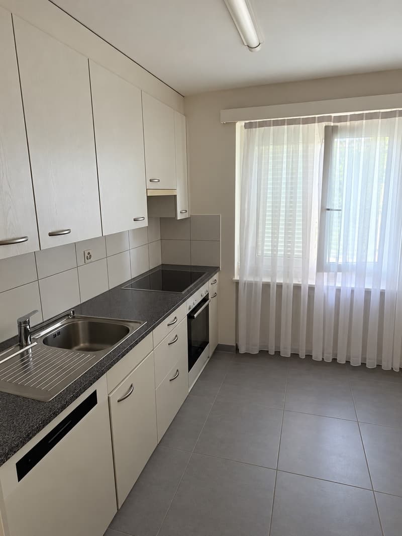 4-Zimmer-Wohnung in Effretikon zu vermieten (5)