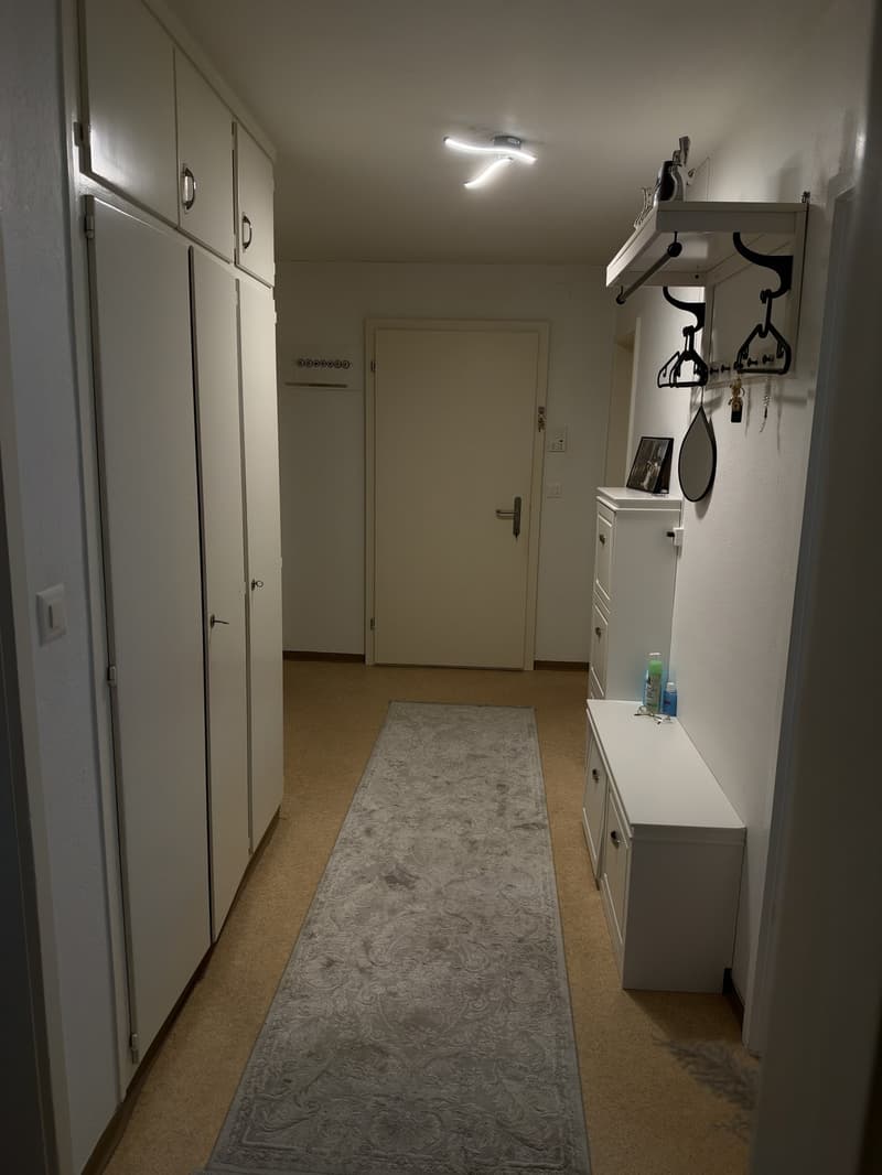 4-Zimmer-Wohnung in Effretikon zu vermieten (7)