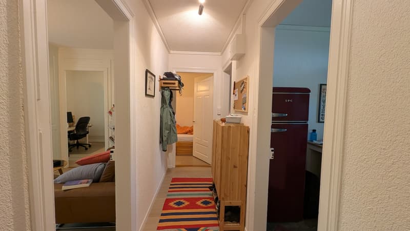 3.5 ZImmer Wohnung (2)