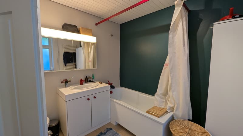 3.5 ZImmer Wohnung (4)
