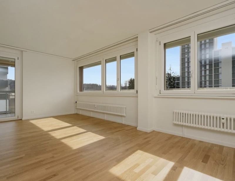 Helle 4.5 Zimmer Wohnung in zentraler Lage (2)