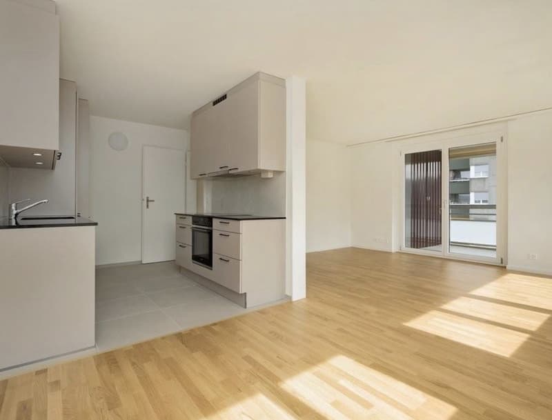 Helle 4.5 Zimmer Wohnung in zentraler Lage (1)