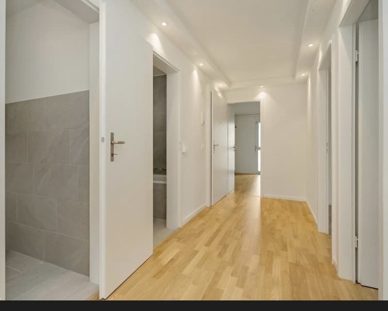Helle 4.5 Zimmer Wohnung in zentraler Lage (5)