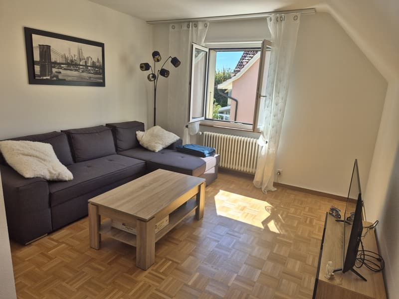 Magnifique 3.5 pièces de charme, lumineux et au calme Bienne / Charmante, helle und ruhige 3.5-Zimmer-Wohnung Biel (1)
