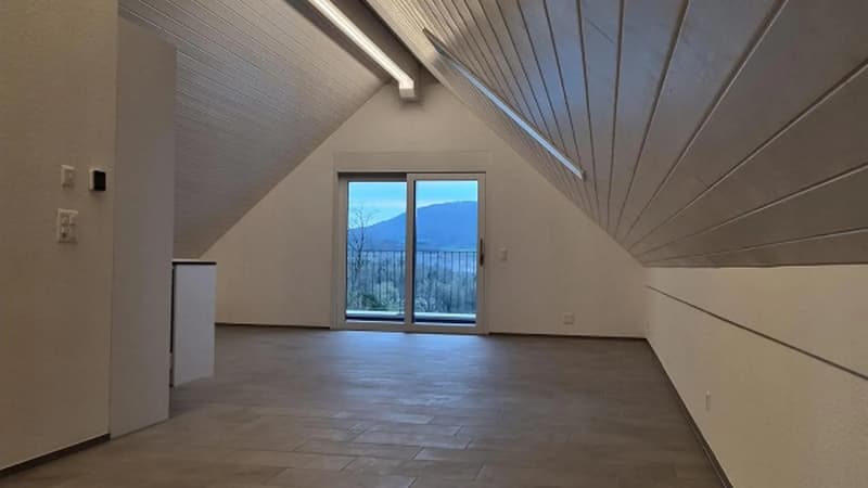 Dachwohnung Loft mit top Aussicht (4)