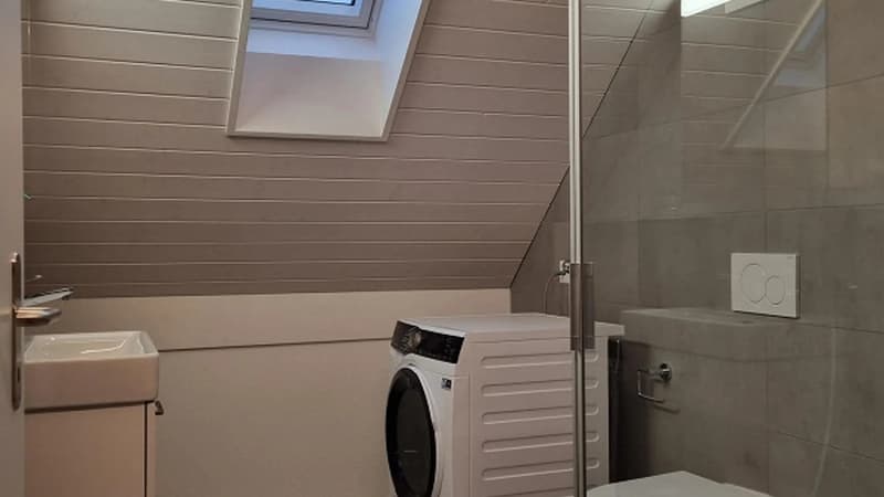 Dachwohnung Loft mit top Aussicht (2)