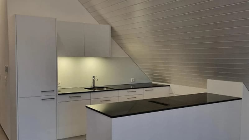 Dachwohnung Loft mit top Aussicht (1)