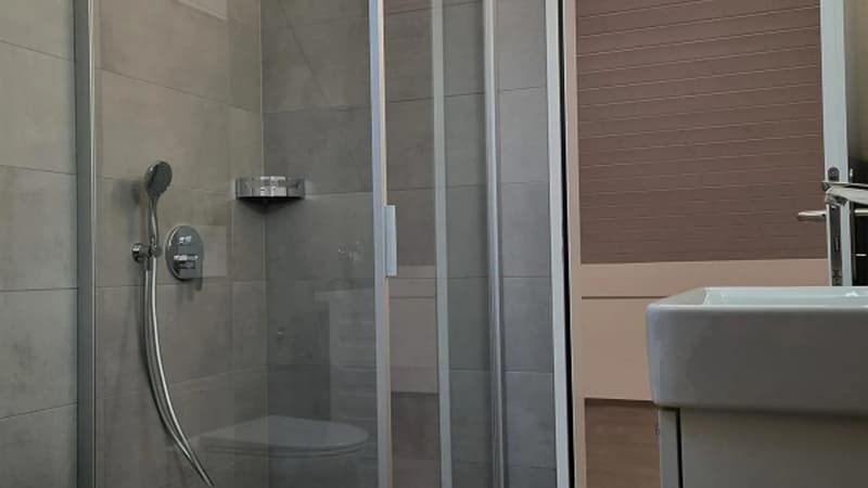 Dachwohnung Loft mit top Aussicht (3)