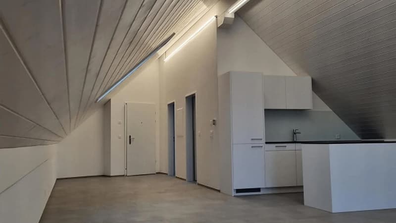 Dachwohnung Loft mit top Aussicht (5)