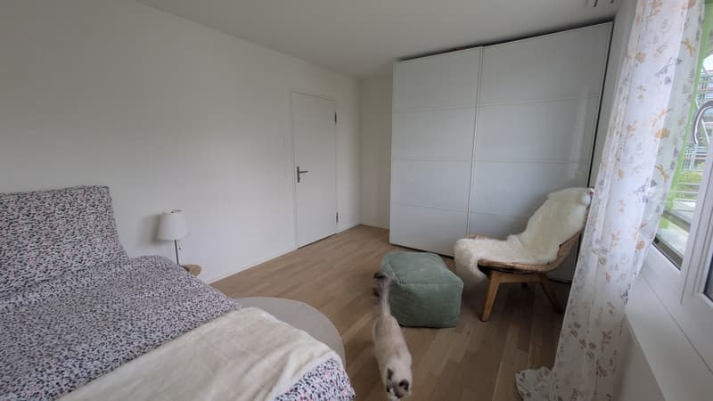 Möbliertes WG Zimmer in Katzen-WG! (2)