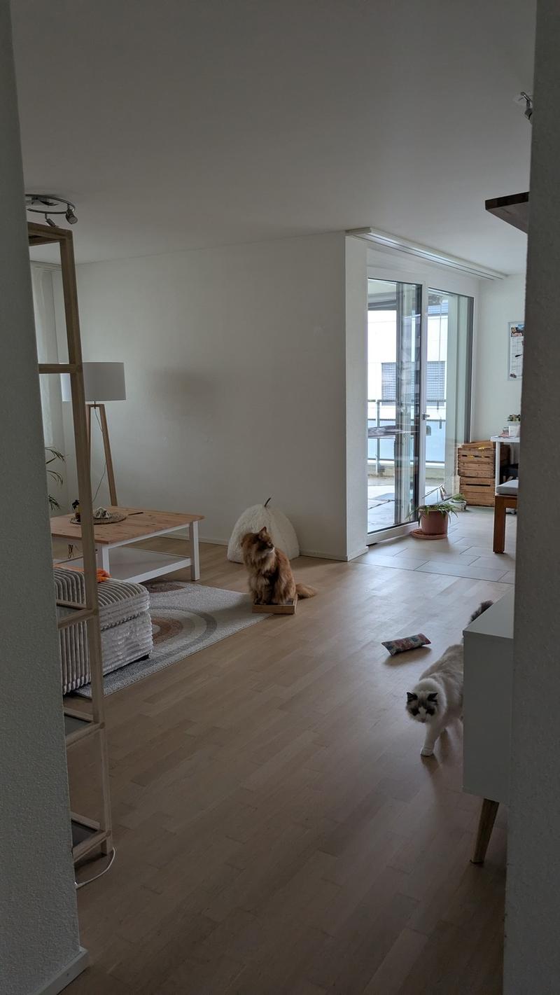 Möbliertes WG Zimmer in Katzen-WG! (6)