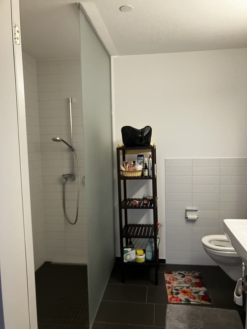 Unmöbeliertes WG in moderner, ruhger, und ordendliche Wohnung (7)