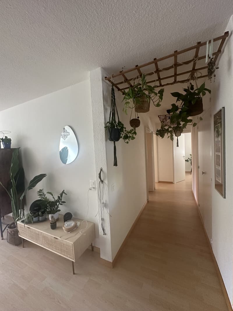 Lovely green oasis at the Goldcoast, only 15min to ZH HB (5)