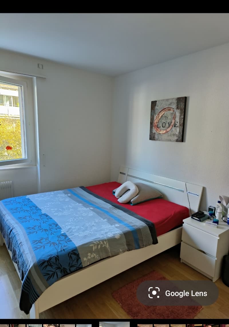 Zimmer zum Vermiete (2)