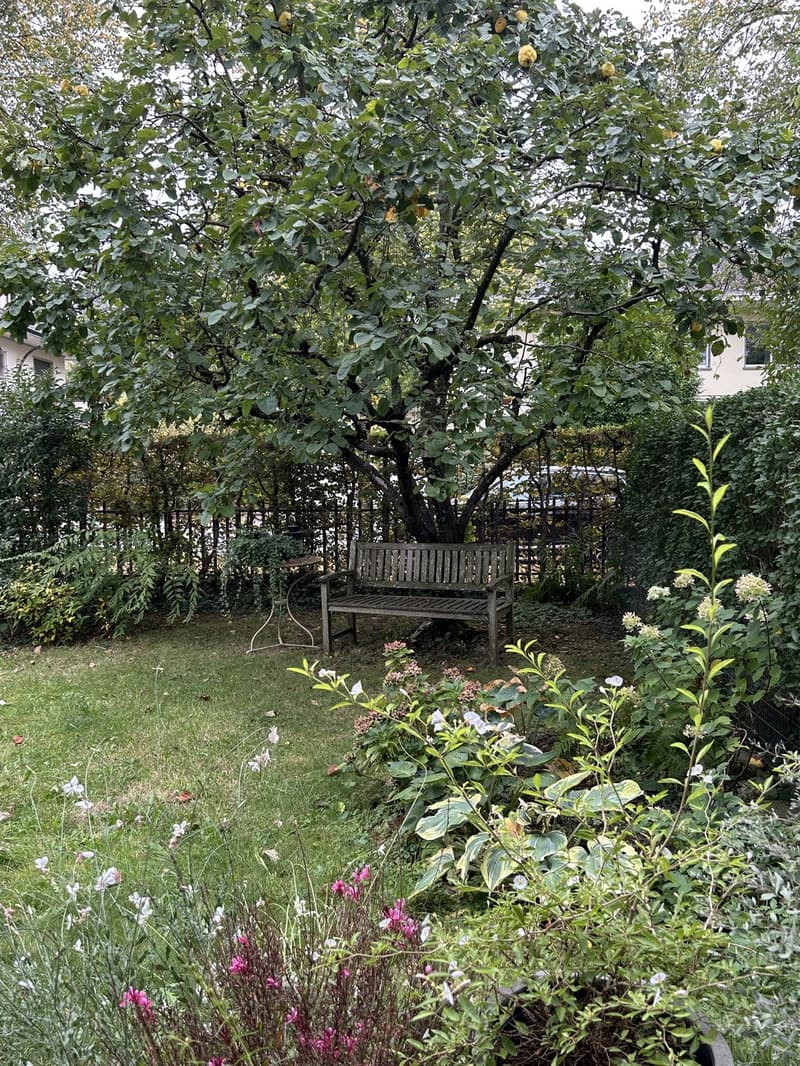 3 1/2 Zimmer Gartenwohnung im Schöngrünquartier (7)