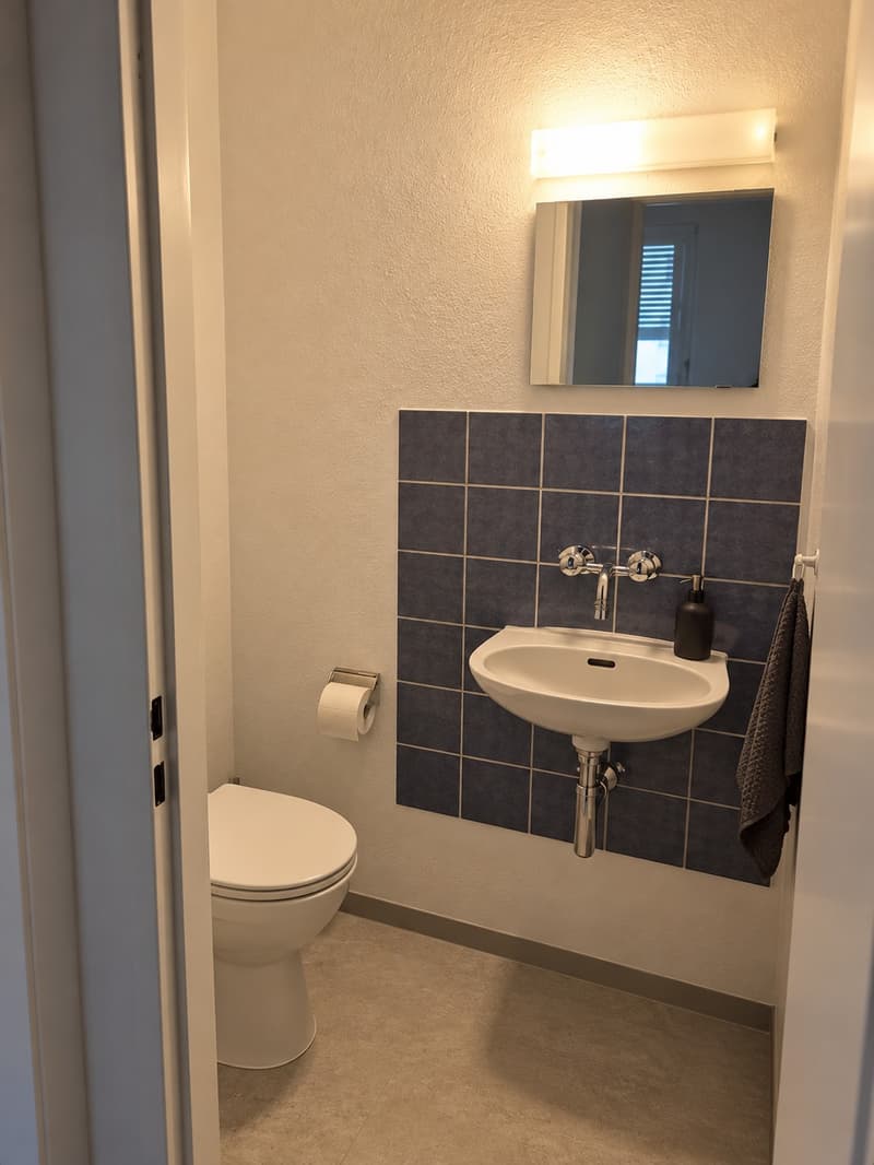 Möbliertes Zimmer in Winterthur frei (6)