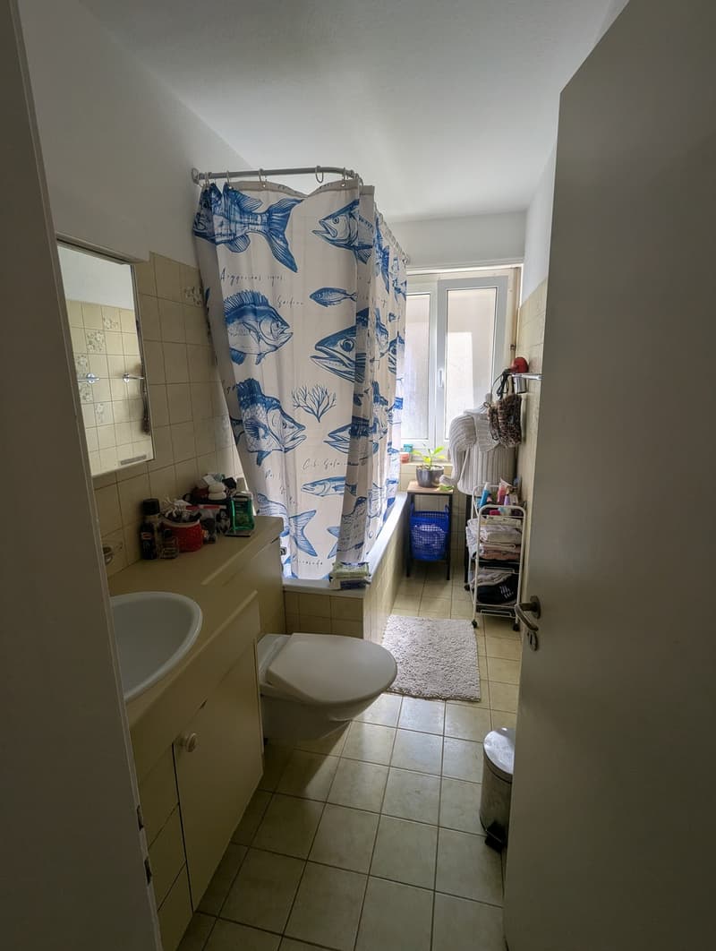 2- Zimmer Wohnung direkt beim Loryplatz (12)